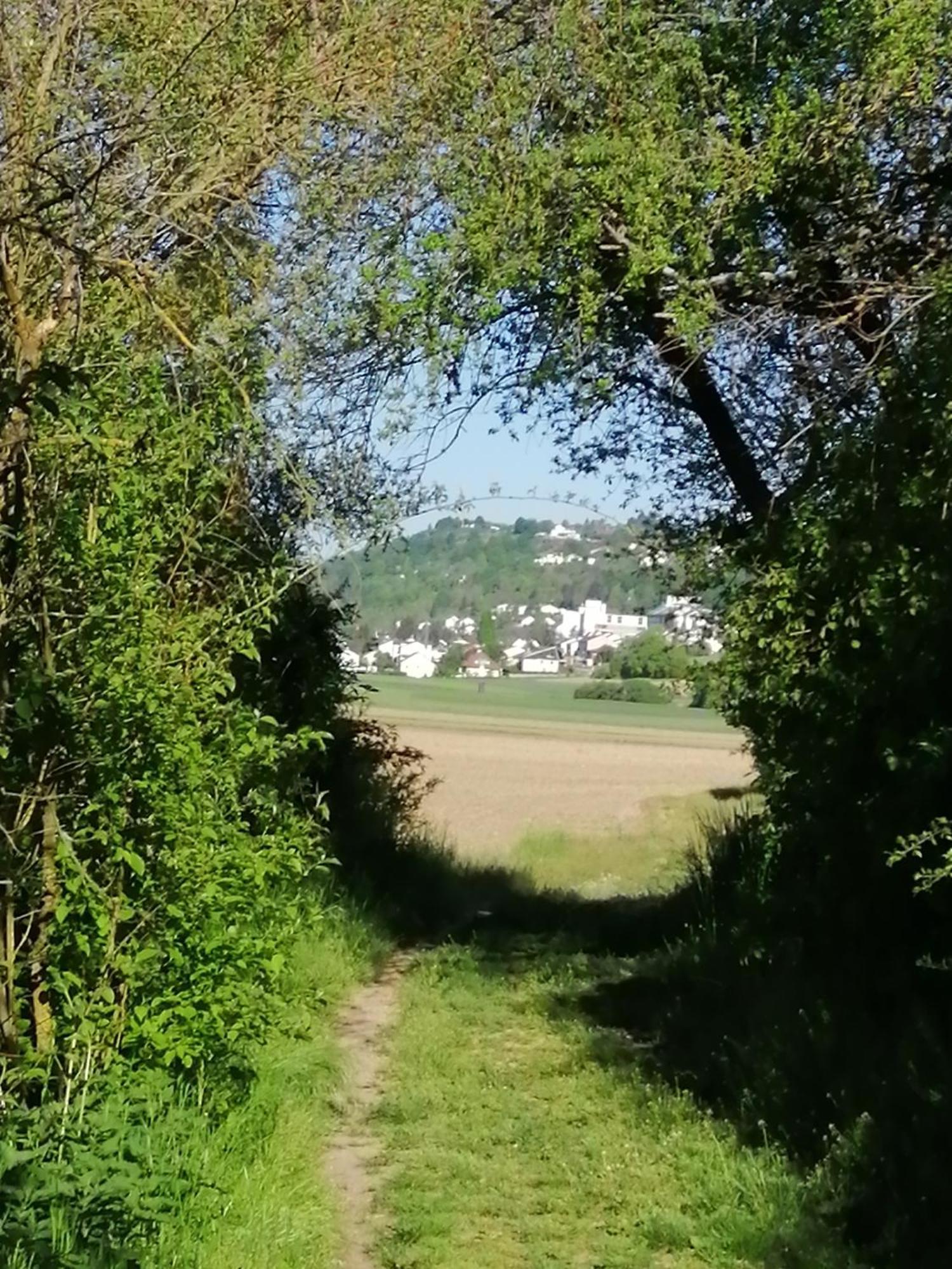 Ferienwohnungen Stark Kelheim Esterno foto